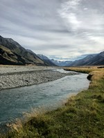 Fly fishing trout in beautiful New Zealand