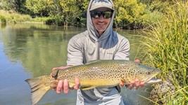 Fly fishing trout in beautiful New Zealand