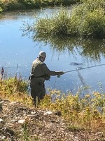 Fly fishing trout in beautiful New Zealand