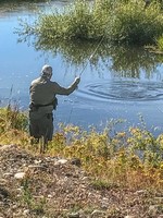 Fly fishing trout in beautiful New Zealand