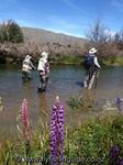 River fishing