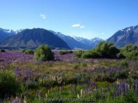 The beautiful high country scenery