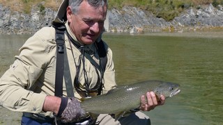 River trout in the South Island of NZ