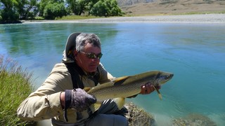 Large back country brown trout