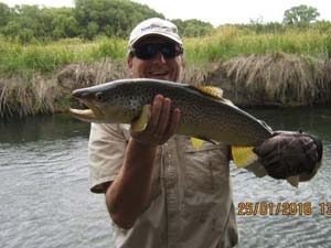 Fly fishing trout in beautiful New Zealand