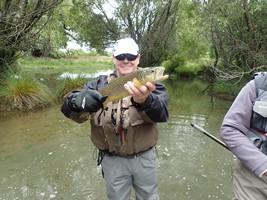 Fly fishing trout in beautiful New Zealand