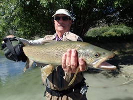 Fly fishing trout in beautiful New Zealand