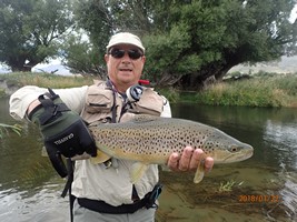 Fly fishing trout in beautiful New Zealand