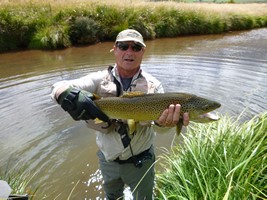 Fly fishing trout in beautiful New Zealand