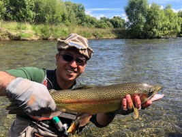 Fly fishing trout in beautiful New Zealand