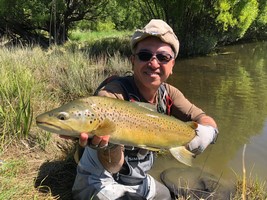 Fly fishing trout in beautiful New Zealand