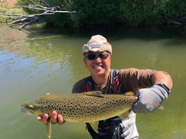 Fly fishing trout in beautiful New Zealand