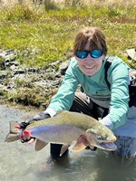 Fly fishing trout in beautiful New Zealand