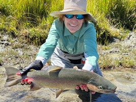 Fly fishing trout in beautiful New Zealand