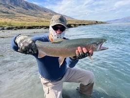 Trout hooked by anglers fly fishing in the lakes and rivers at the foot of the Southern Alps in New Zealand.