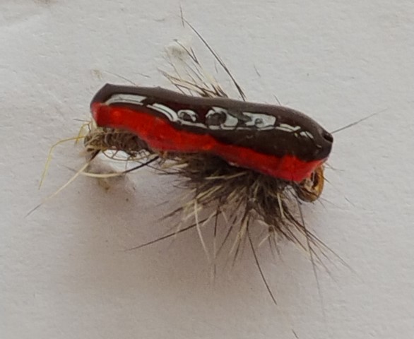 This SBN accounted for a particularly fussy brown trout.
