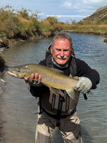 Trout hooked by anglers fly fishing in the lakes and rivers at the foot of the Southern Alps in New Zealand.