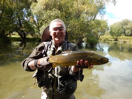 Fly fishing trout in beautiful New Zealand