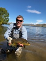 Fly fishing trout in beautiful New Zealand