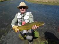 Fishing the brown trout