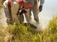 Returning the fish to the river