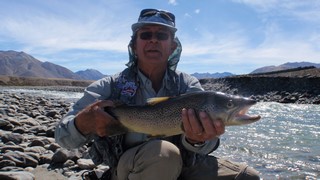 Fly fishing trout in beautiful New Zealand