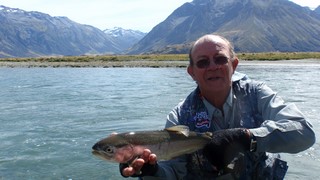 Fly fishing trout in beautiful New Zealand