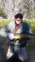 Fly fishing trout in beautiful New Zealand