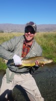 Fly fishing trout in beautiful New Zealand