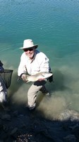 Fly fishing trout in beautiful New Zealand