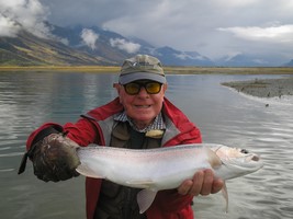 Fly fishing trout in beautiful New Zealand