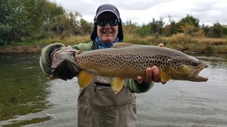 Fly fishing trout in beautiful New Zealand