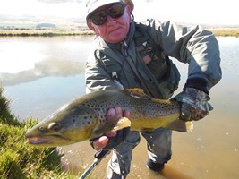 Fly fishing trout in beautiful New Zealand