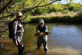 A great side cast accounted for this fish on a stream in New Zealand