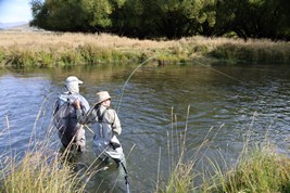 Fly fishing Guide
