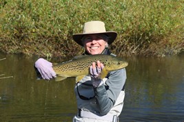 Fly fishing trout in beautiful New Zealand