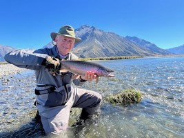 Trout hooked by anglers fly fishing in the lakes and rivers at the foot of the Southern Alps in New Zealand.