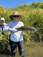 Fly fishing trout in beautiful New Zealand