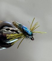 Fly fishing trout in beautiful New Zealand