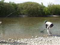 Alan nets a fish - Australia.