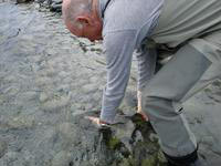 Releasing the trout back into the high country