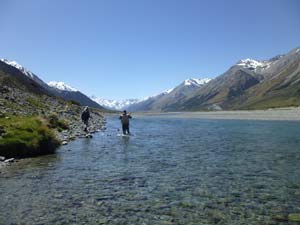 Fly fishing trout in beautiful New Zealand