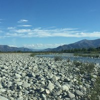 Fly fishing trout in beautiful New Zealand