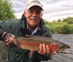 Fly fishing trout in beautiful New Zealand