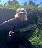 Fly fishing trout in beautiful New Zealand