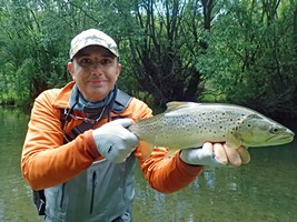 Fly fishing trout in beautiful New Zealand