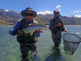 Fly fishing trout in beautiful New Zealand