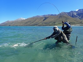 Fly fishing trout in beautiful New Zealand