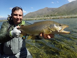 Fly fishing trout in beautiful New Zealand