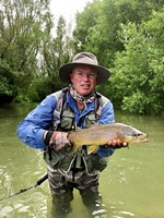 Fly fishing trout in beautiful New Zealand